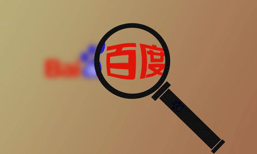 专业蜘蛛池